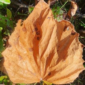 Meet your Posher, Eddie